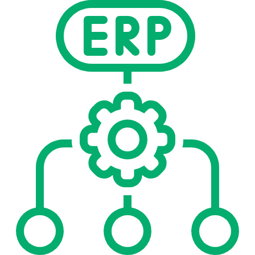 ERP Development